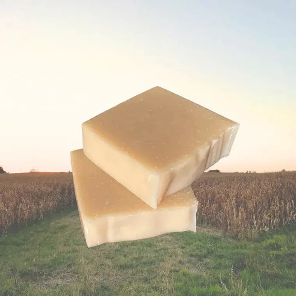 Coconut Oil & Honey Soap - Main